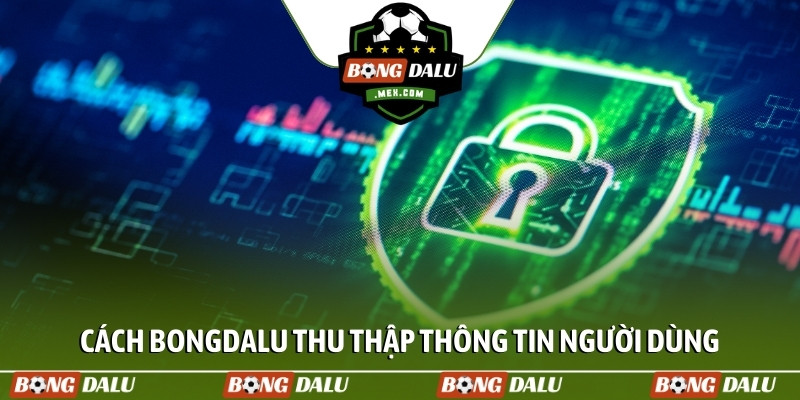Cách Bongdalu thu thập thông tin người dùng